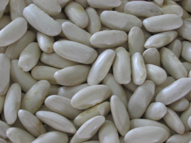 PGI Faba Beans