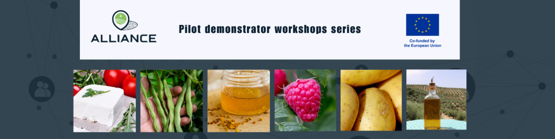 The text "Demonstrator workshops series" is accompanied by pictures of food products. The logo of the project and of the EU are displayed on a white background. 